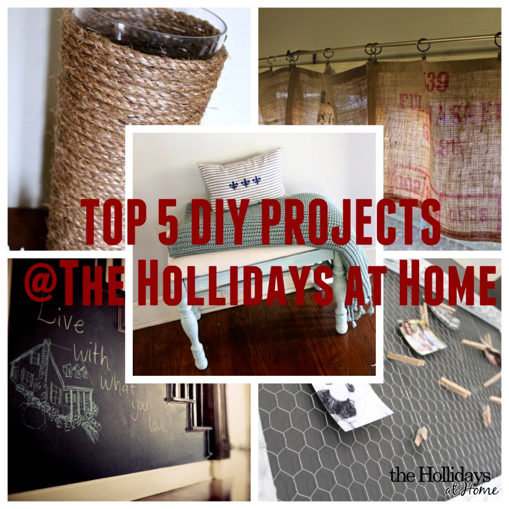 top5diyprojects