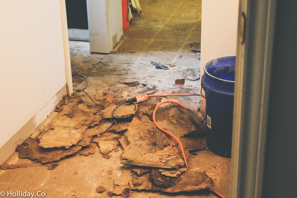 bathroom renovation, bathroom remodel,demo day