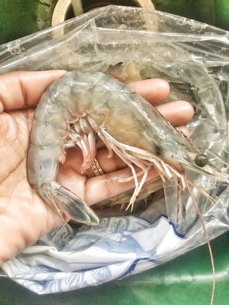 fresh shrimp