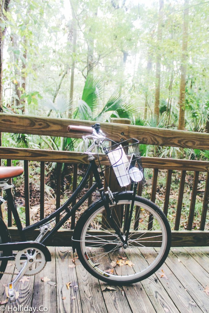 celebration bike rental, celebration fl, things to do in celebration florida, things to do in celebration fl, travel, travel blog, traveling blogger, travel to celebration fl, experience kissimmee