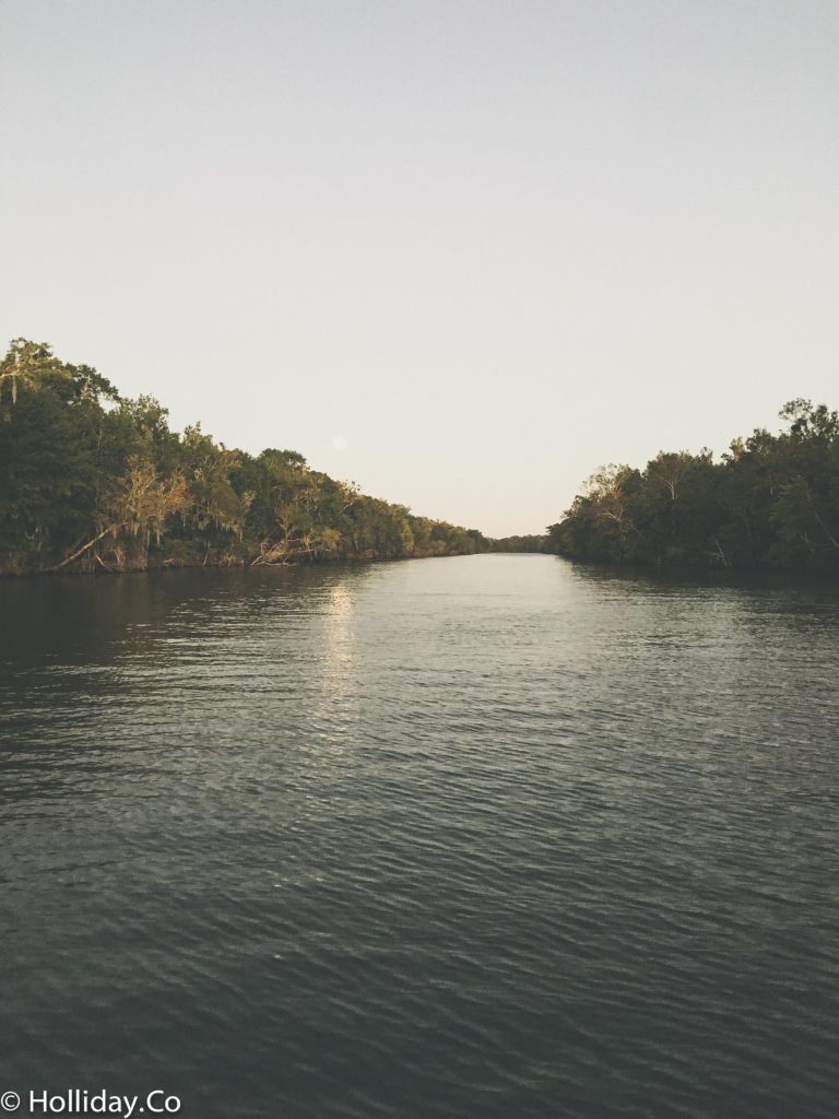 cajun man's swamp tour houma la, swamp tour, swamp tour houma la, houma la things to do, swamp tour louisiana, family activity houma, la
