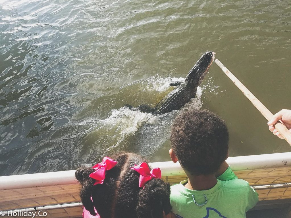 cajun man's swamp tour houma la, swamp tour, swamp tour houma la, houma la things to do, swamp tour louisiana, family activity houma, la