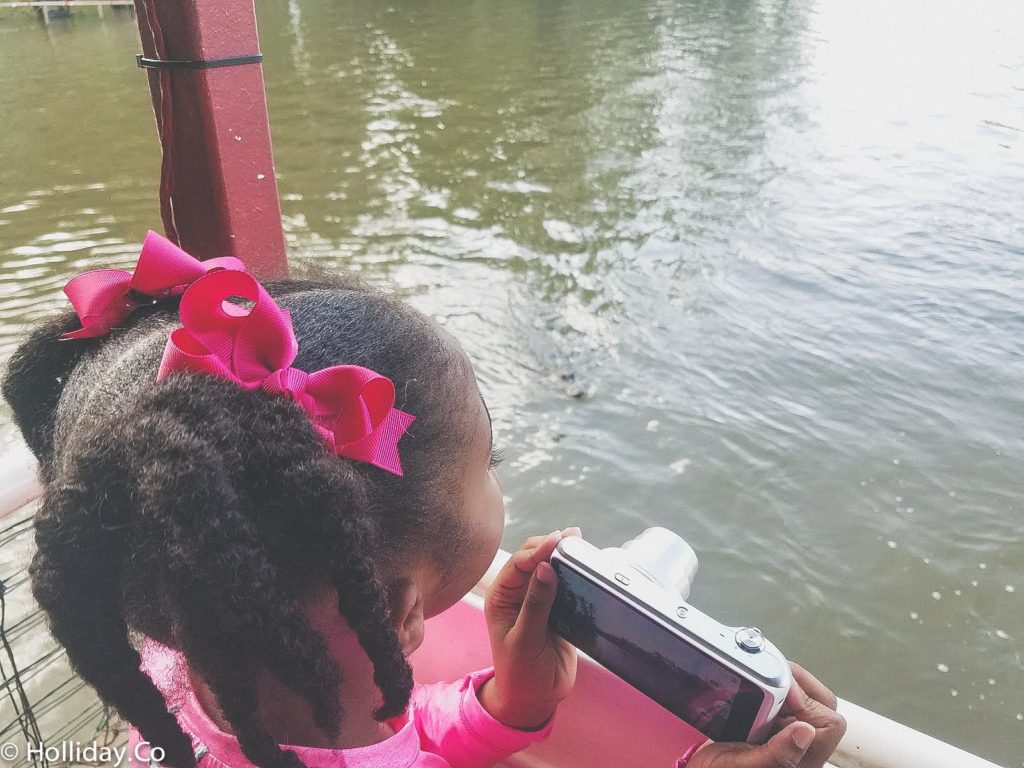 cajun man's swamp tour houma la, swamp tour, swamp tour houma la, houma la things to do, swamp tour louisiana, family activity houma, la