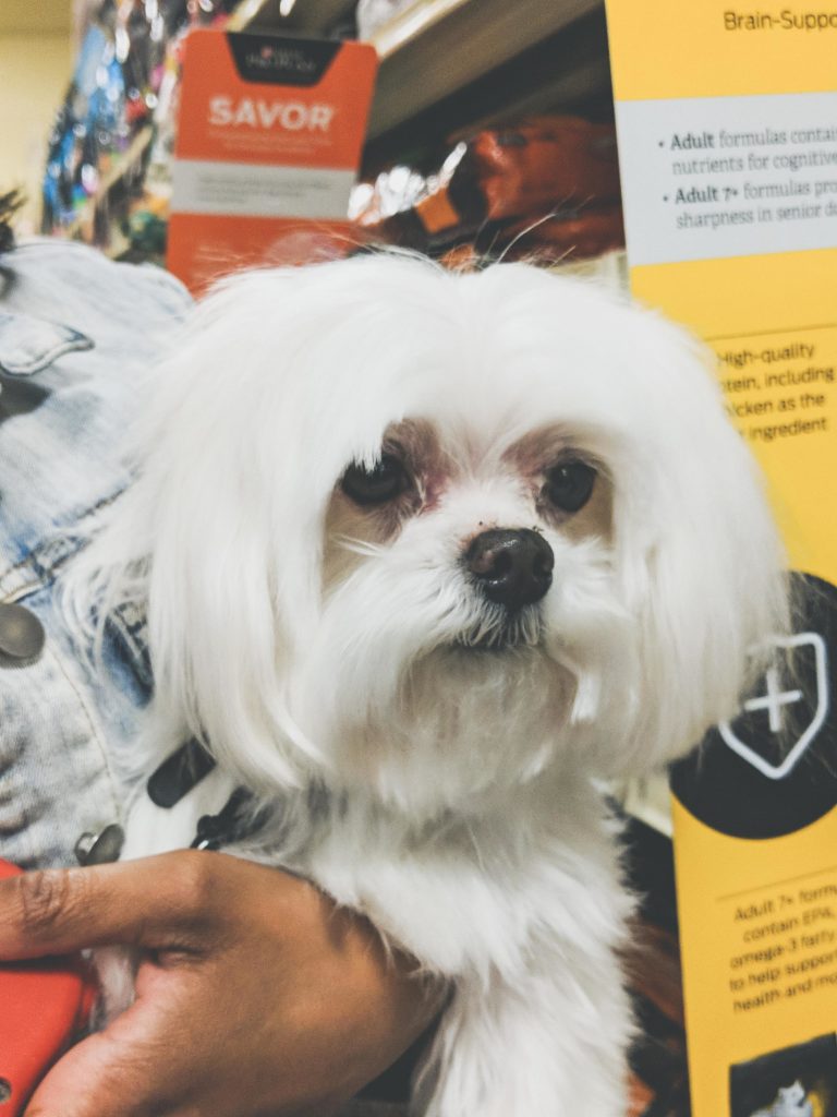 #ProPlanPossibilities, #collectivebias