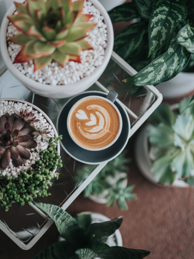 How To Elevate Your Coffee Routine